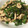 yummy?'s cooksnap of when they made 簡単♡鶏とピーマンのおかか炒め♪.