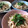 四児のハハ's cooksnap of when they made 時短簡単！柚子胡椒とツナで冷やしうどん.
