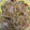 めいちママ＊'s cooksnap of when they made レンジで簡単！袋のまんま！もやしおかず.