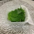 ☆こまっと☆'s cooksnap of when they made 大葉を上手に保存して無駄なく.