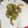クック638TLM☆'s cooksnap of when they made 手が止まらないゴーヤチップ.