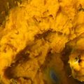 nyankoにゃん's cooksnap of when they made 私のかぼちゃペースト.
