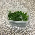☆こまっと☆'s cooksnap of when they made 大葉の塩漬け(万能保存).