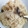すがまっち's cooksnap of when they made 白だしで!椎茸とツナの炊き込みご飯.