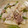 いとねこ☆'s cooksnap of when they made ネギ大量消費♪豚バラと長芋炒め.