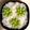 三つ子まま's cooksnap of when they made 青昆布草原に枝豆コーンのお花ごはん♪.
