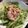 やーしー's cooksnap of when they made ツナサラダ(レタス、かいわれ、きゅうり).