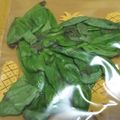 ゆう★ダイエット中's cooksnap of when they made 色、香りキープ！生バジルの冷凍保存方法.