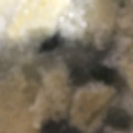 ma___111's cooksnap of when they made わかめと卵と油揚げのスープ♫.