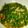 bya's cooksnap of when they made レンジで簡単♪やみつきピーマン.