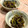 みらい３１１'s cooksnap of when they made ゴーヤと牛肉のしぐれ煮♪白ごま風味.