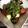 やーしー's cooksnap of when they made ＊さっぱり豆腐のサラダ＊.