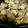 curisupin's cooksnap of when they made ゴールデンソースジューシー照焼きチキン丼.