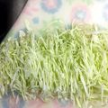 オウジリリノエ's cooksnap of when they made 【お母様絶賛！】ただのキャベツの千切り.