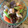 pawprints's cooksnap of when they made 博多がめ煮.