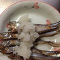 51エリア's cooksnap of when they made 柳葉魚の大根おろし添え.