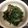 ち　い　す　け's cooksnap of when they made さつまいもの葉のお浸し.
