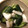 豆とオリーブ's cooksnap of when they made ＊きゅうりとイカのナムル＊.