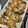 つぶらなうさ's cooksnap of when they made サルサソースのナスグラタン.