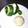 kokemomo60's cooksnap of when they made すだちボム♪すだちの保存 方法.