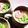 ぷりんぴょん's cooksnap of when they made オシャレな玉子豆腐.