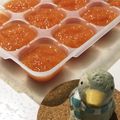 ププぞう's cooksnap of when they made 離乳食（後期～）✾トマトソース.