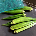 FujikoUK's cooksnap of when they made 簡単手軽で時短＊30秒でおくらの下拵え.
