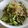きえまま's cooksnap of when they made 千切り野菜とじゃこのさっぱりサラダ.