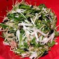 ☆DEKO's cooksnap of when they made 大根と水菜のシャキシャキサラダ！.