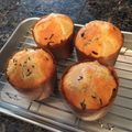 Lily’smama's cooksnap of when they made 夏パウンド☆桃とアールグレイのケーキ.