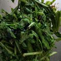 ぴあののりこ's cooksnap of when they made 春菊のりごま和え.