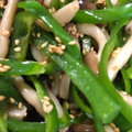 クックJVNQNE☆'s cooksnap of when they made ピーマンとしめじの中華風胡麻和え.