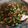 ♬あじさいのレシピ♬'s cooksnap of when they made 冷凍オクラのかんたんおかず♡.