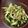 クックSXM82A☆'s cooksnap of when they made なすときゅうりのおかかポン酢和え.