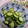 masakohママ's cooksnap of when they made 簡単！きゅうりの塩こんぶあえ.