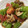 クックM6DK2O☆'s cooksnap of when they made ★トマトと福耳唐辛子の野菜炒め★.