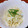 TomoGoQoo's cooksnap of when they made 簡単☆混ぜるだけの大根とホタテのサラダ.