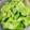 クック0MHF56☆'s cooksnap of when they made めちゃうまっ！！うりときゅうりの漬物.