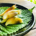 ソラソラソラ's cooksnap of when they made シンプル、食べる分だけみょうがの浅漬け。.