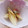 ☆クッキングパンダ☆'s cooksnap of when they made シンプル、食べる分だけみょうがの浅漬け。.