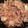 さ、き's cooksnap of when they made オイスターソースで簡単野菜炒め.