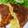 クックIJMPA8☆'s cooksnap of when they made 簡単に本格派 スパニッシュオムレツ.
