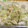 ゆう★ダイエット中's cooksnap of when they made 本格中華風！肉野菜炒め.