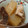 稲沢ゆり's cooksnap of when they made とうがんのシーチキンとろとろ煮.