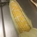 リラシャン's cooksnap of when they made レンジでラップなし！とうもろこしのゆで方.