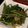 xMARILYNx's cooksnap of when they made シャキシャキ美味しい！簡単空芯菜炒め.