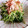 ♡こもれび♡'s cooksnap of when they made 簡単！一品☆豆苗のからし和え☆.