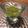 クックICKQW0☆'s cooksnap of when they made 食べるカクテル？！極上☆梅酒ゼリー.