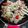 クック38UB4F☆'s cooksnap of when they made ズッキーニとトマトの中華炒め.
