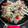 クック38UB4F☆'s cooksnap of when they made ズッキーニとトマトの中華炒め.